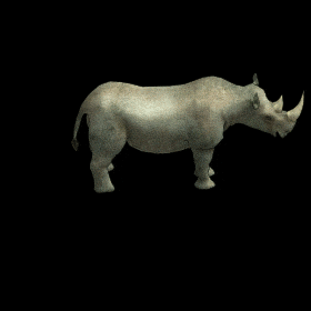 Gif animé rhinocéros attaque
